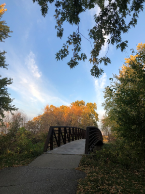 Bridge in Fall