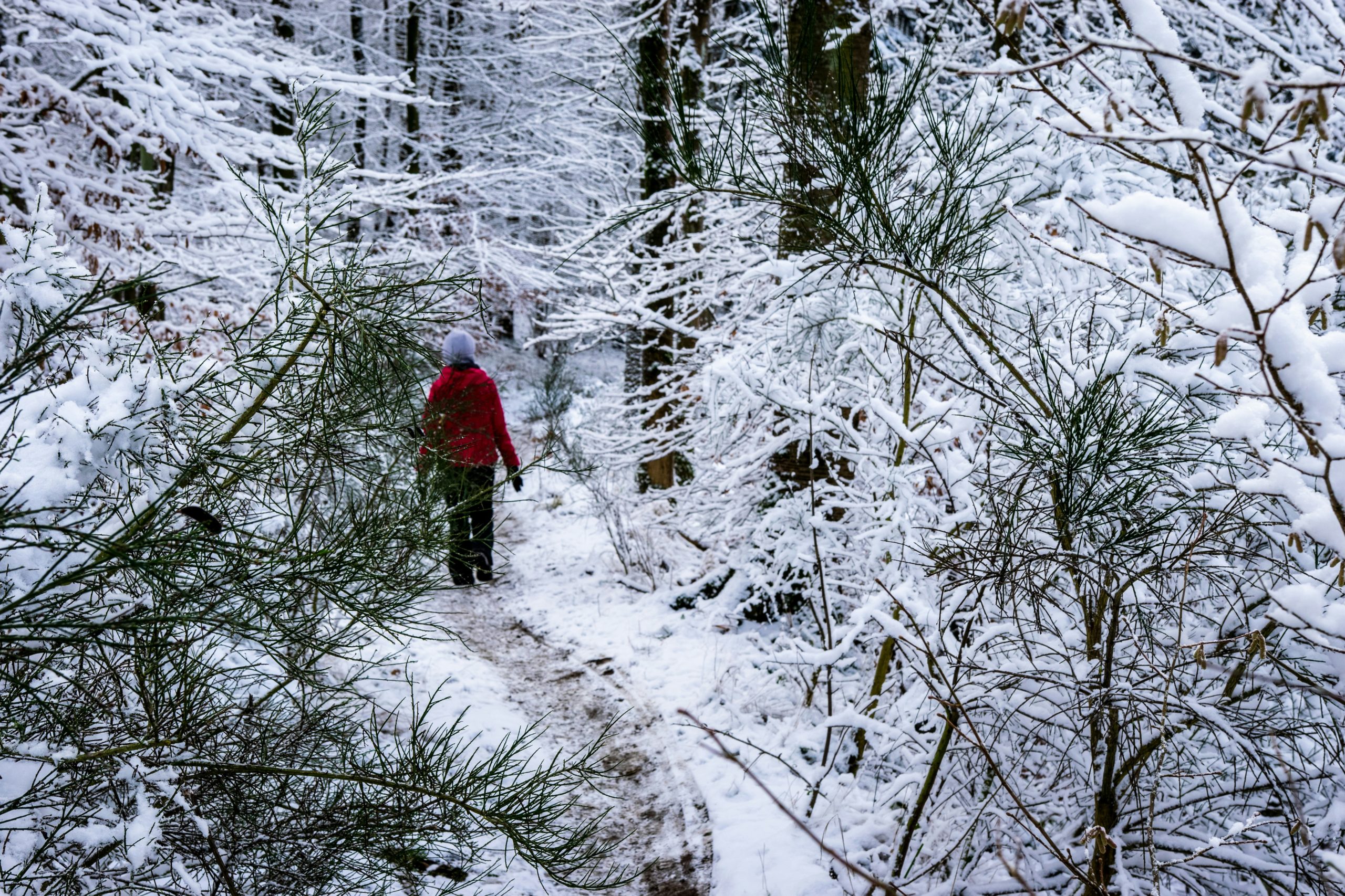 Matthew KzRIPvuN1vc unsplash